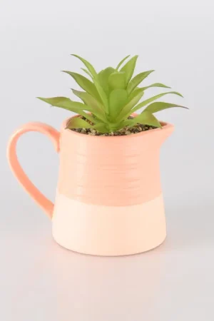 Carafe en céramique avec succulente Soldes